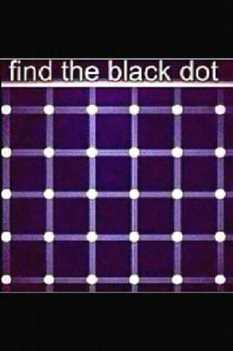 12507346_181156498906352_8370508184837451044_n.webp