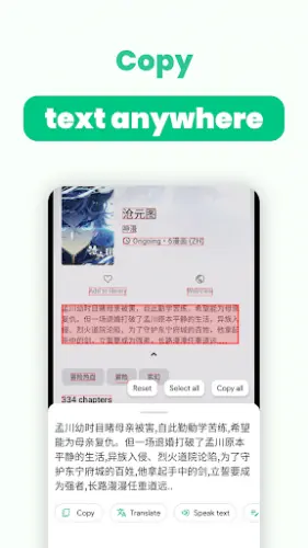 1751046359553.webp