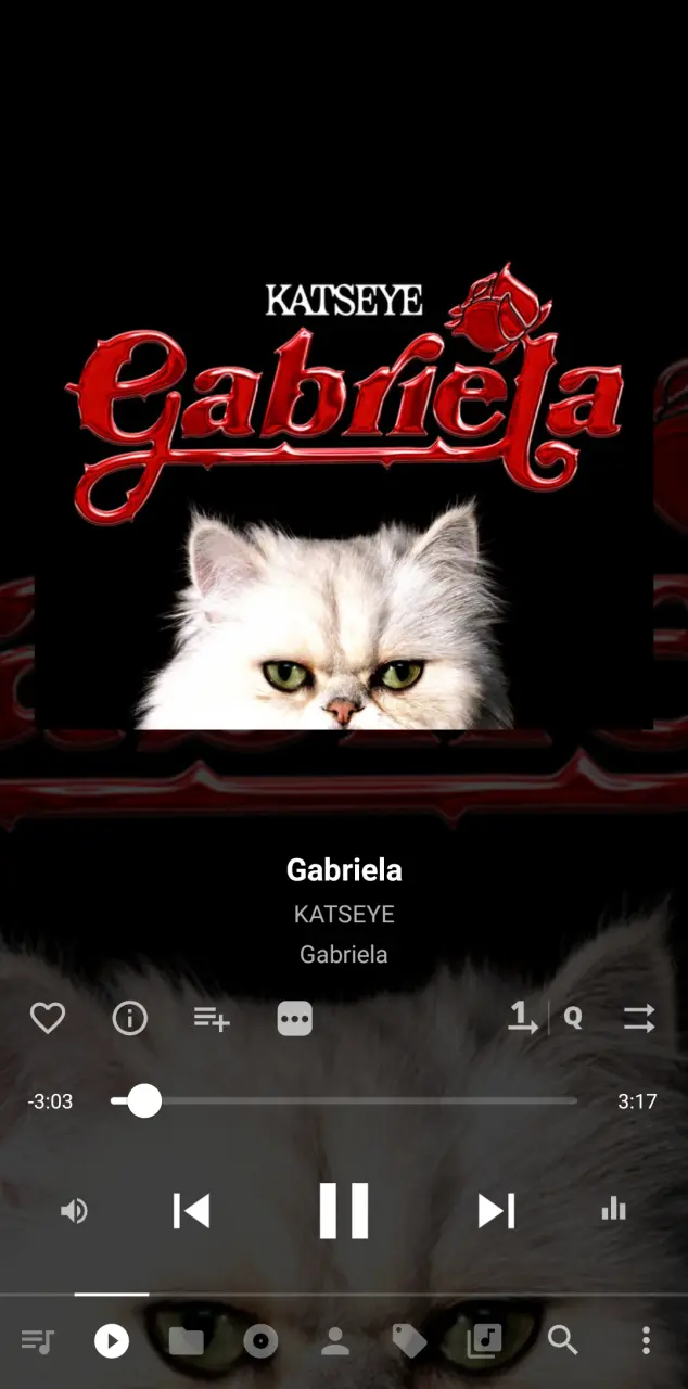 Screenshot_20250629_075040_Musicolet.webp