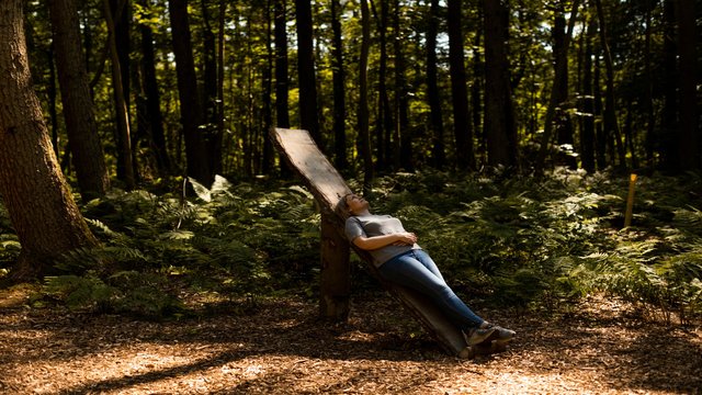 visitor-forest-bathing-at-wallington-northumberland-1752688.jpg