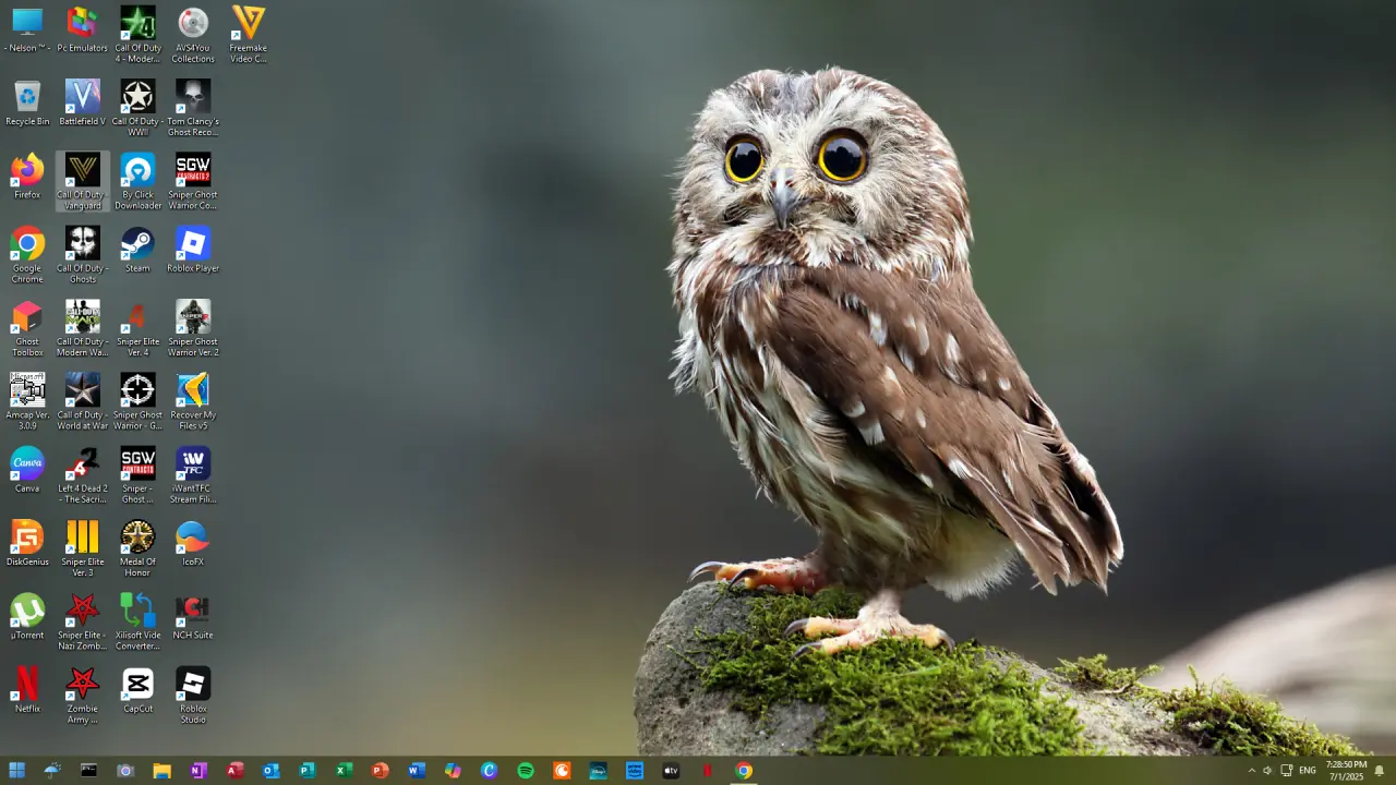 1751369369809.webp