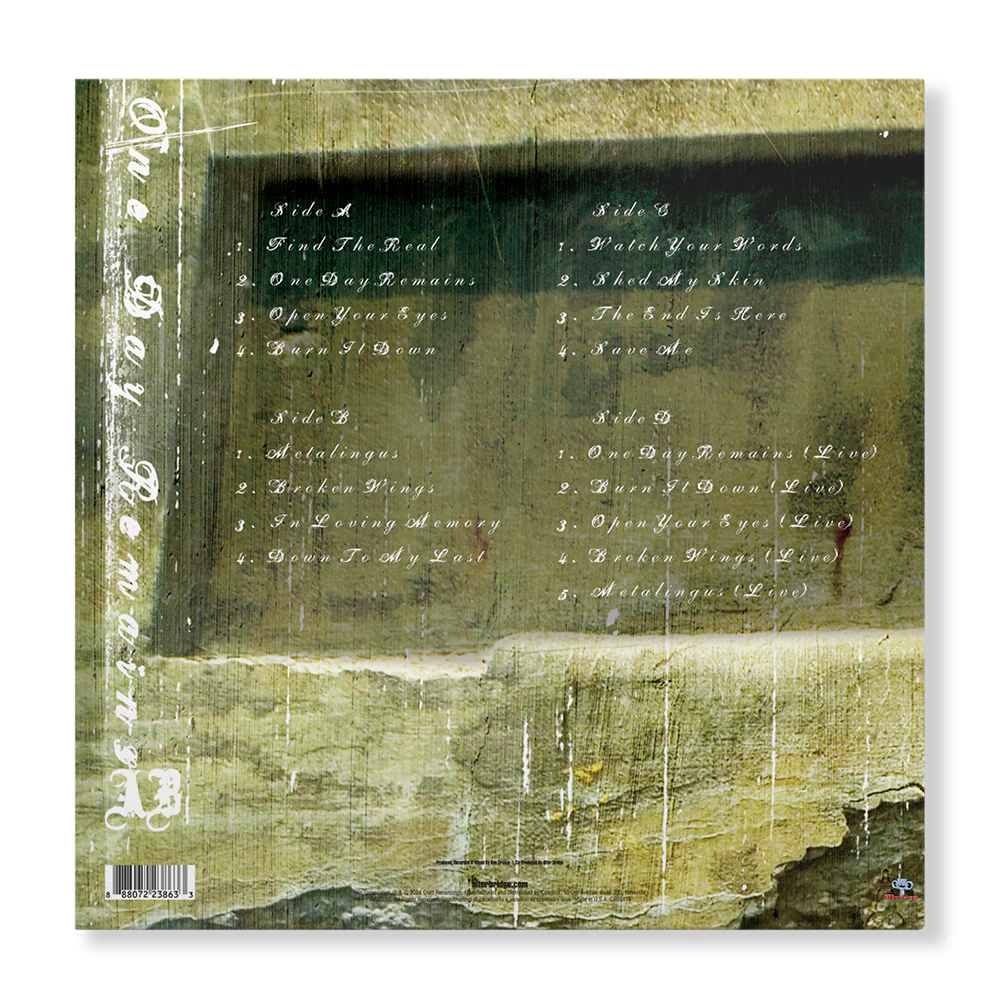 AB-OneDayRemains_BACK_1000x.webp