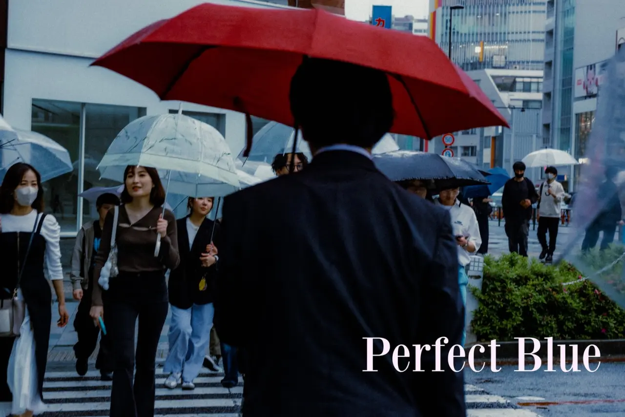 cinefilm 2.webp