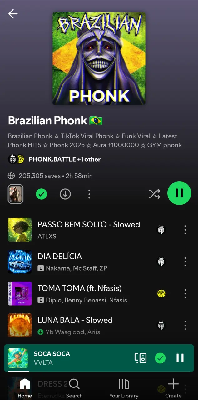 Brazilian Phonk
