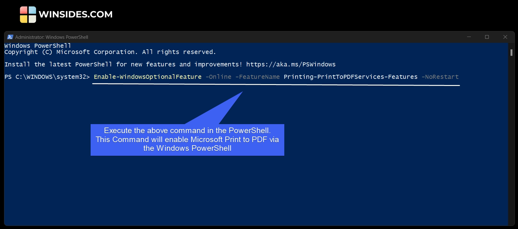 Execute-the-Print-to-PDF-Enble-Command-in-the-PowerShell.webp
