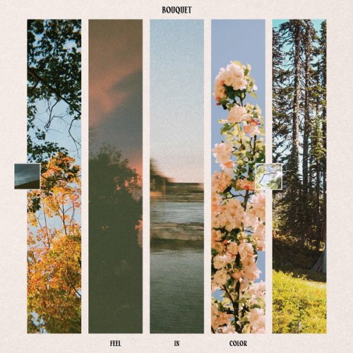 Bouquet  Feel In Color (2025)