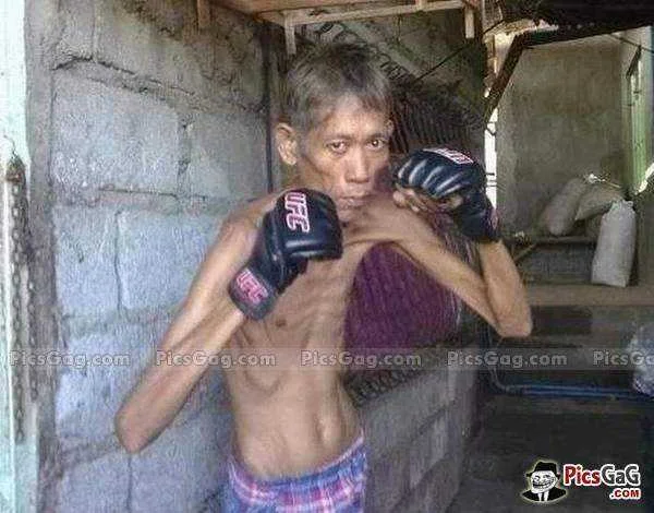 funny-boxing-of-funny-boxer.webp