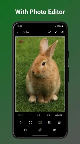 1752644474455.webp