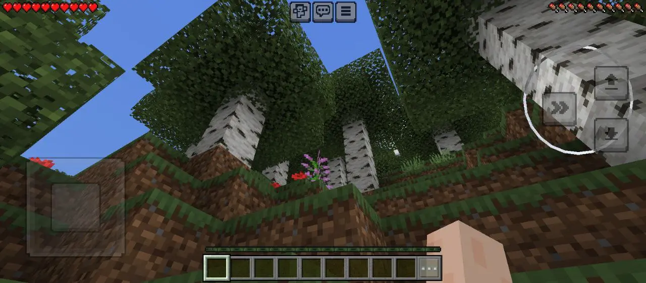 minecraft (2).webp