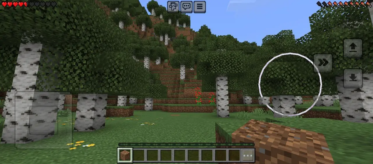 minecraft (3).webp