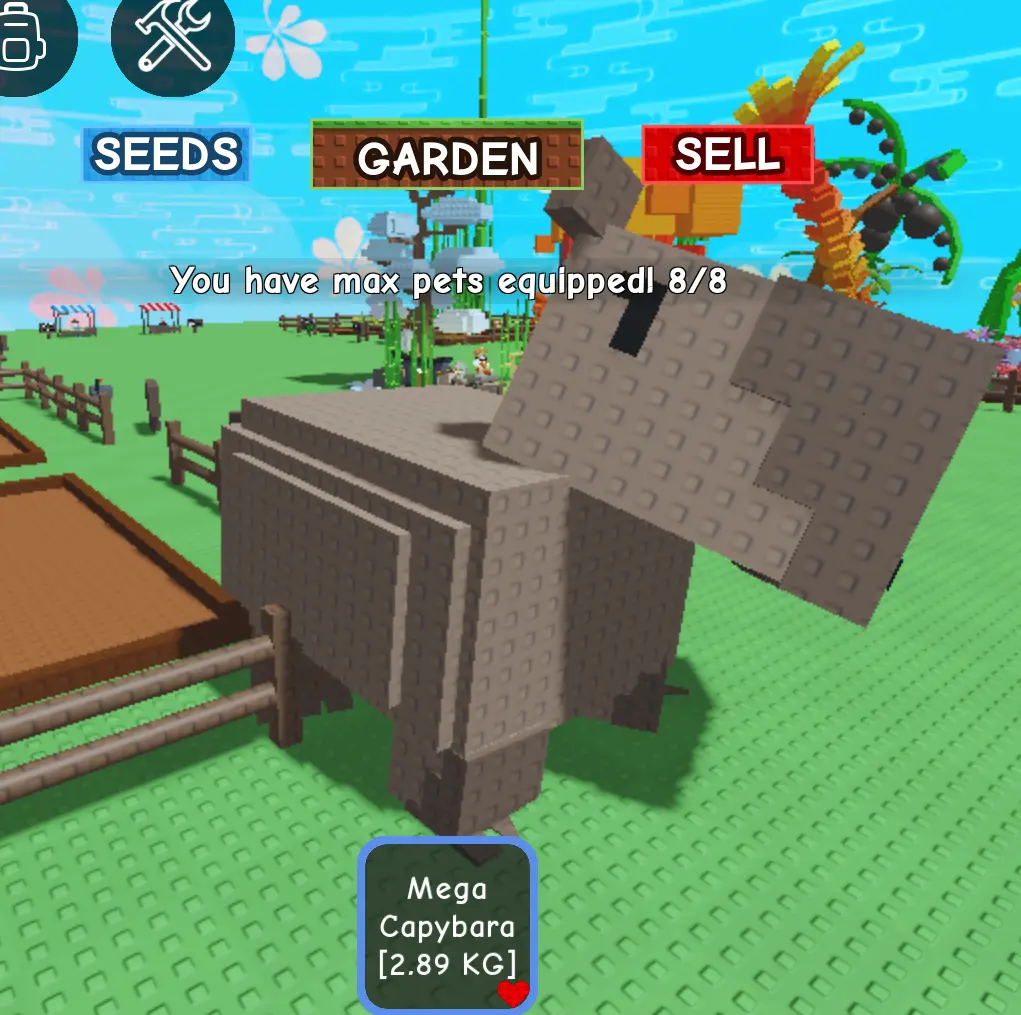 1000008451.webp