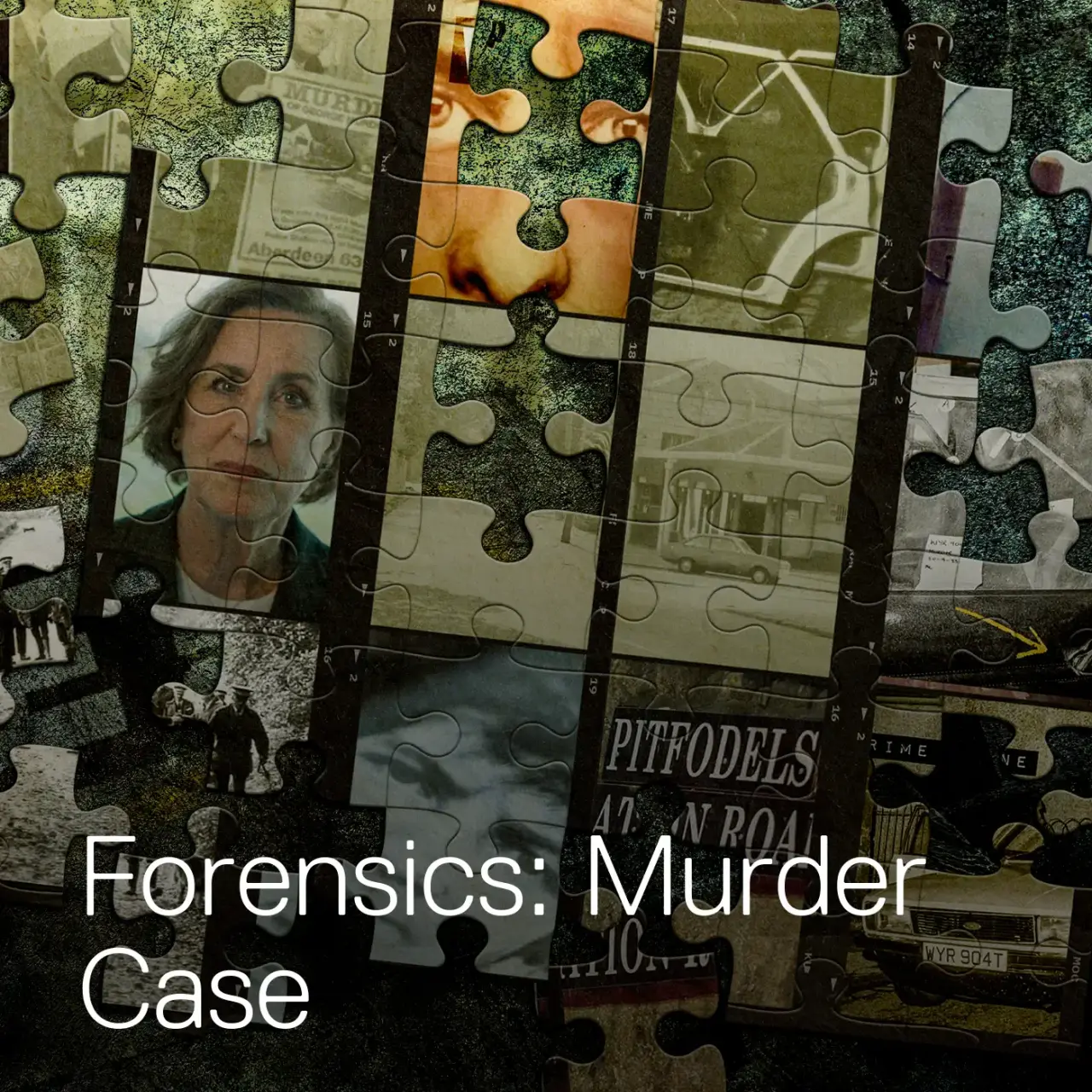 Forensics: Murder Case (2025) Ongoing