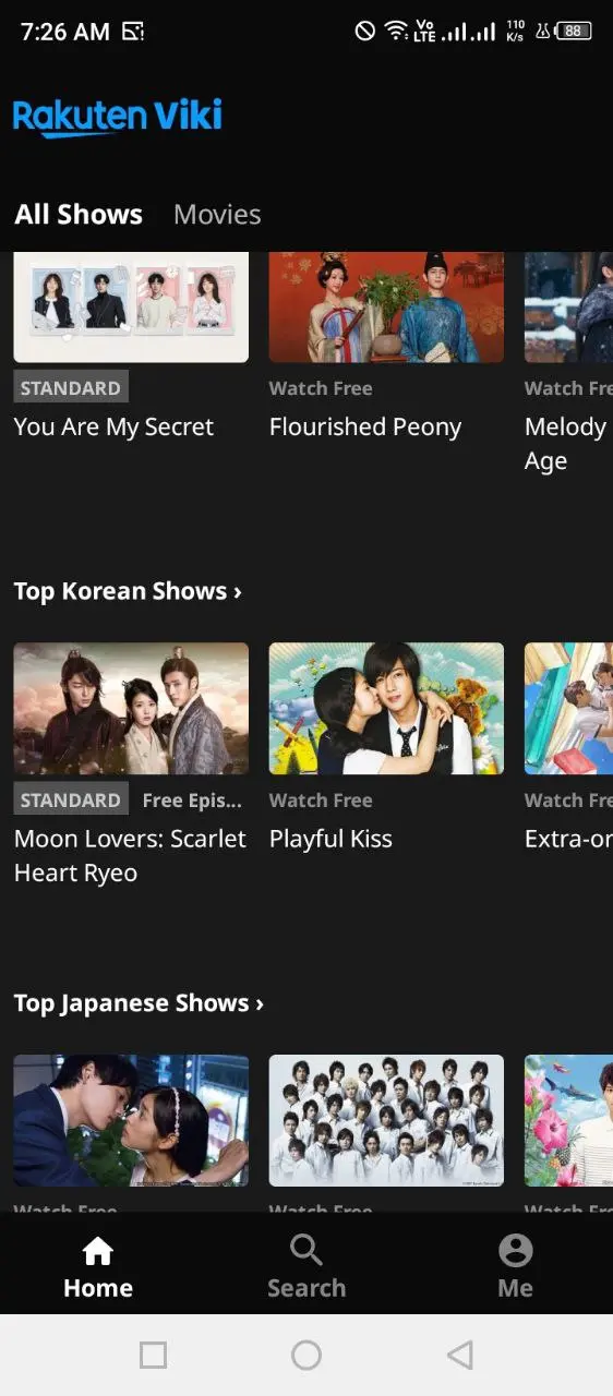 viki (1).webp