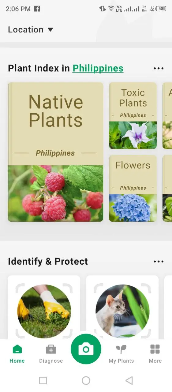 picture this (1).webp