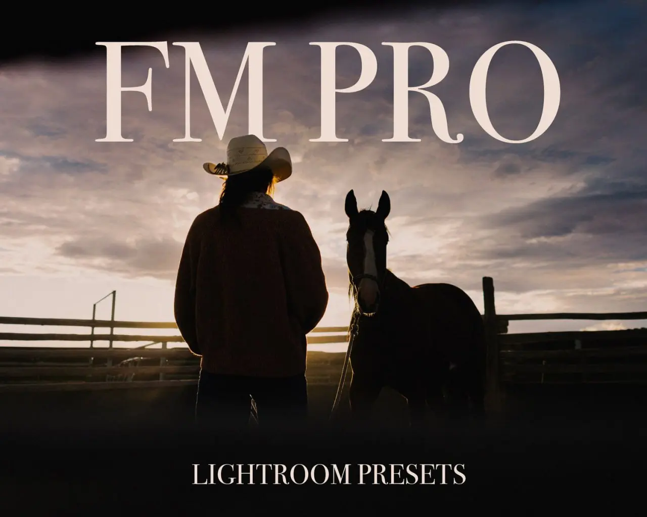 fm pro (1).webp