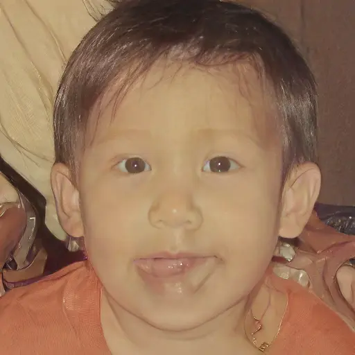 1753466456268.webp