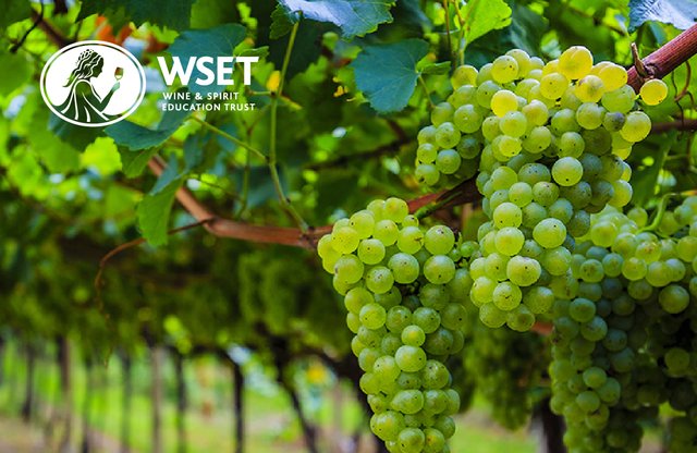 EN-Wines-Level-2-Award-1200x1200-1.jpg