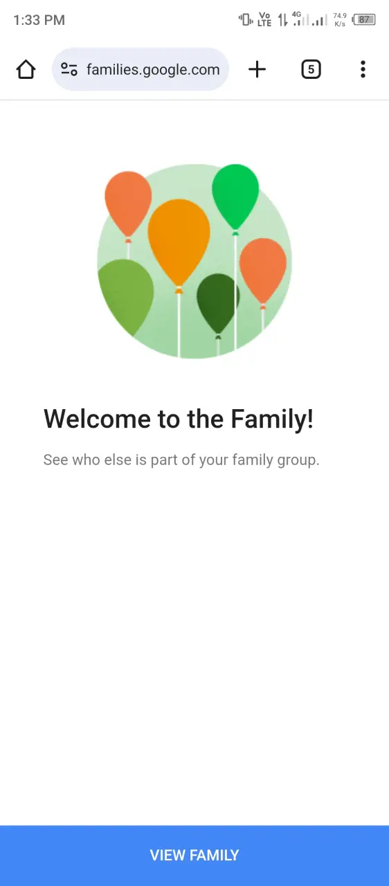 Screenshot_20250729-133306.webp