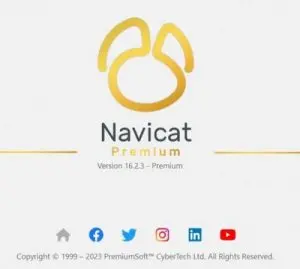 NavicatPremium-300x269.webp