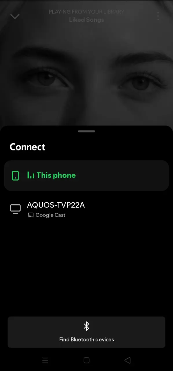 ss1.webp