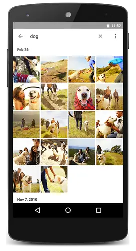 1754209485354.webp