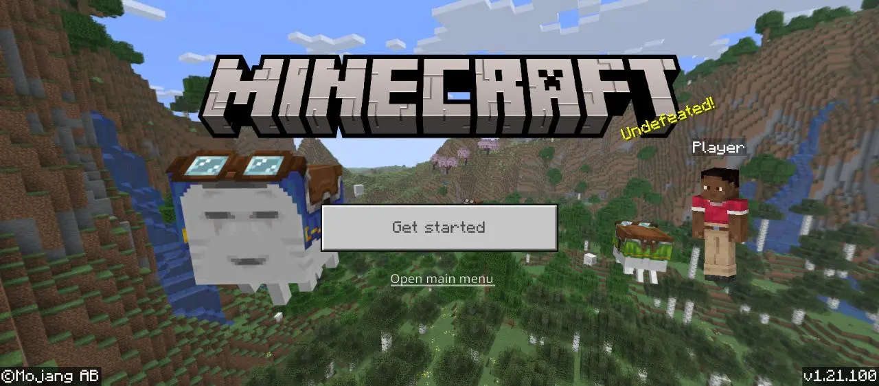 minecraft (1).webp