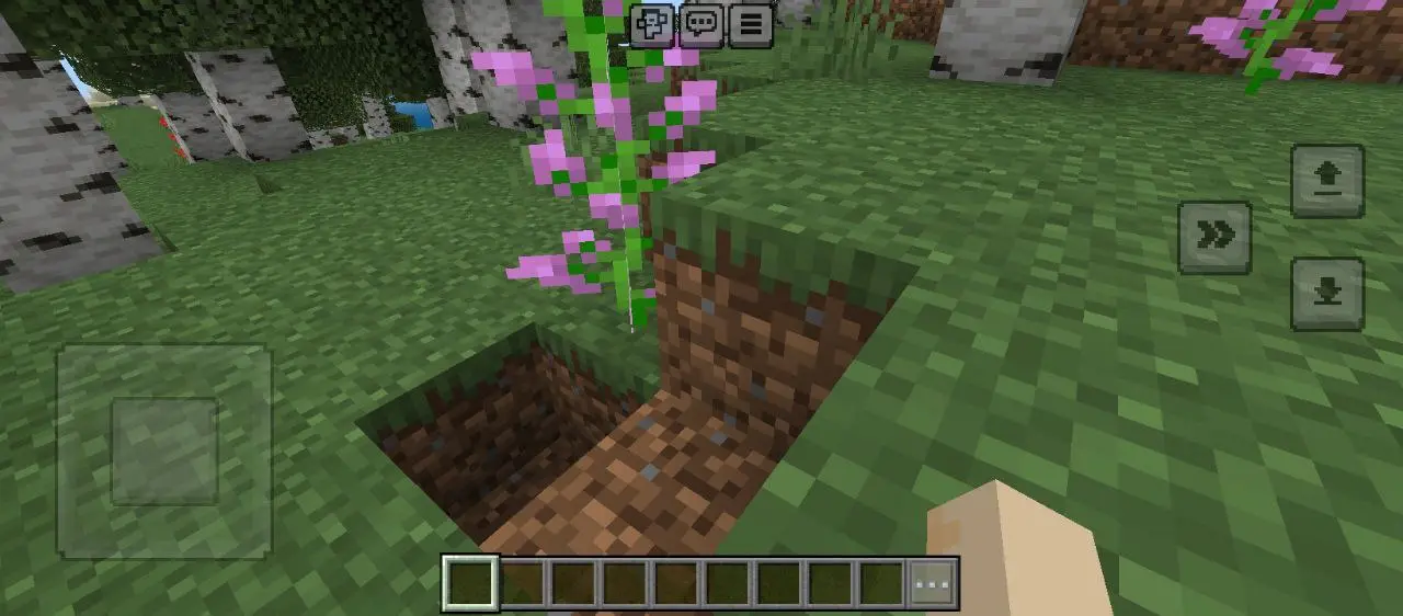 minecraft (6).webp