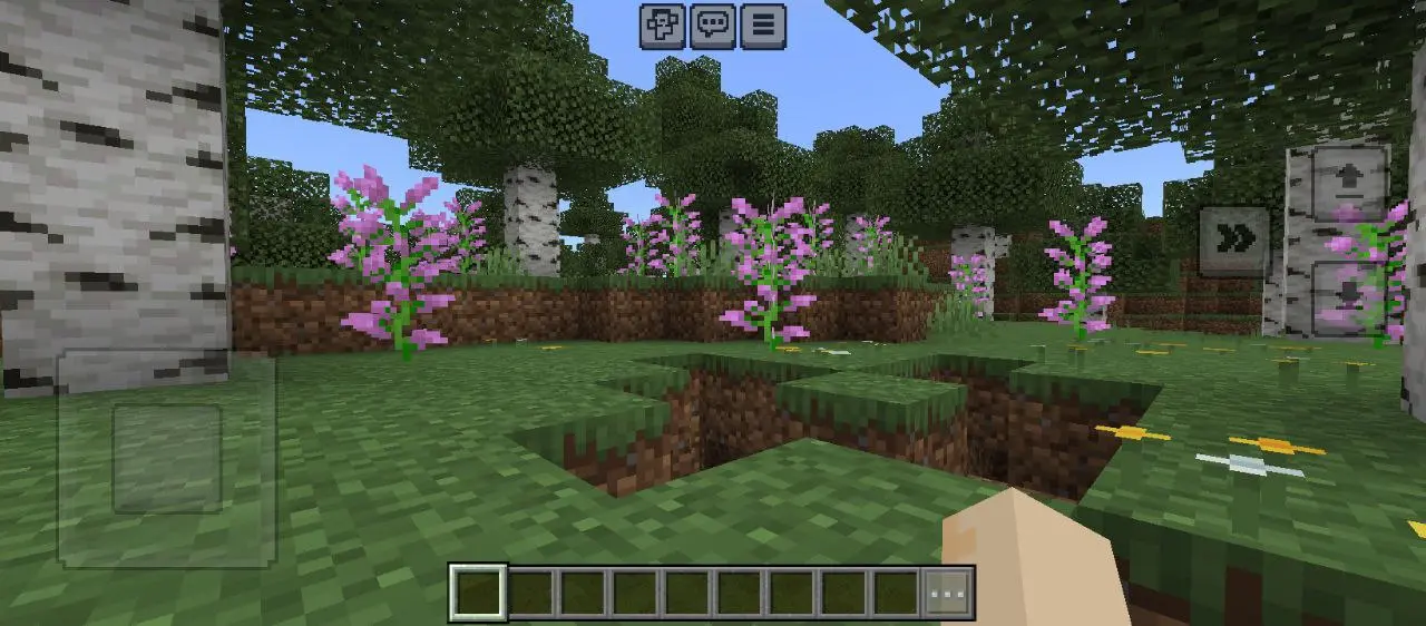 minecraft (8).webp