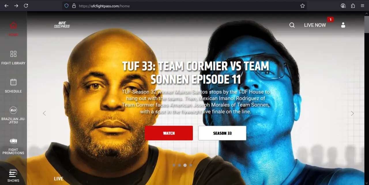 ss1.webp
