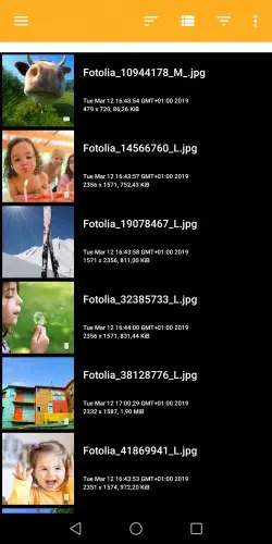 1755072305977.webp