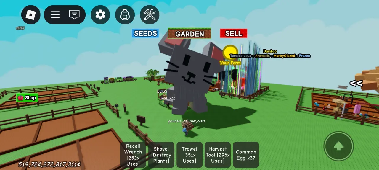 Screenshot_2025-08-14-01-05-58-145_com.roblox.client.webp