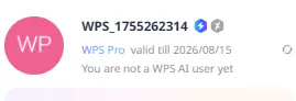 1755262646043.webp