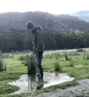 200.gif