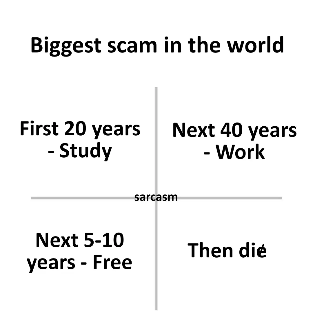 1755363743913.webp
