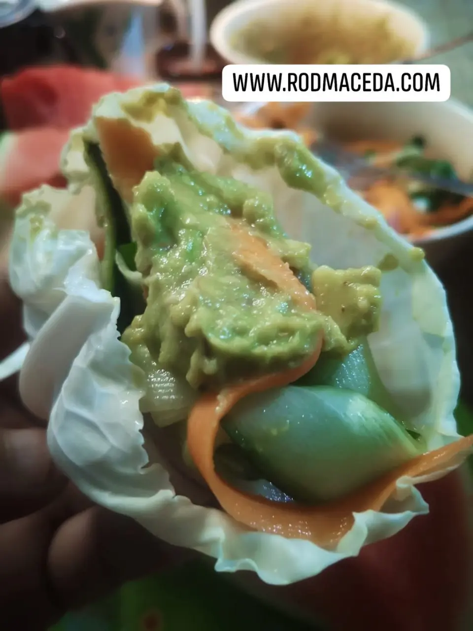 Rod Maceda raw vegan food 04.webp
