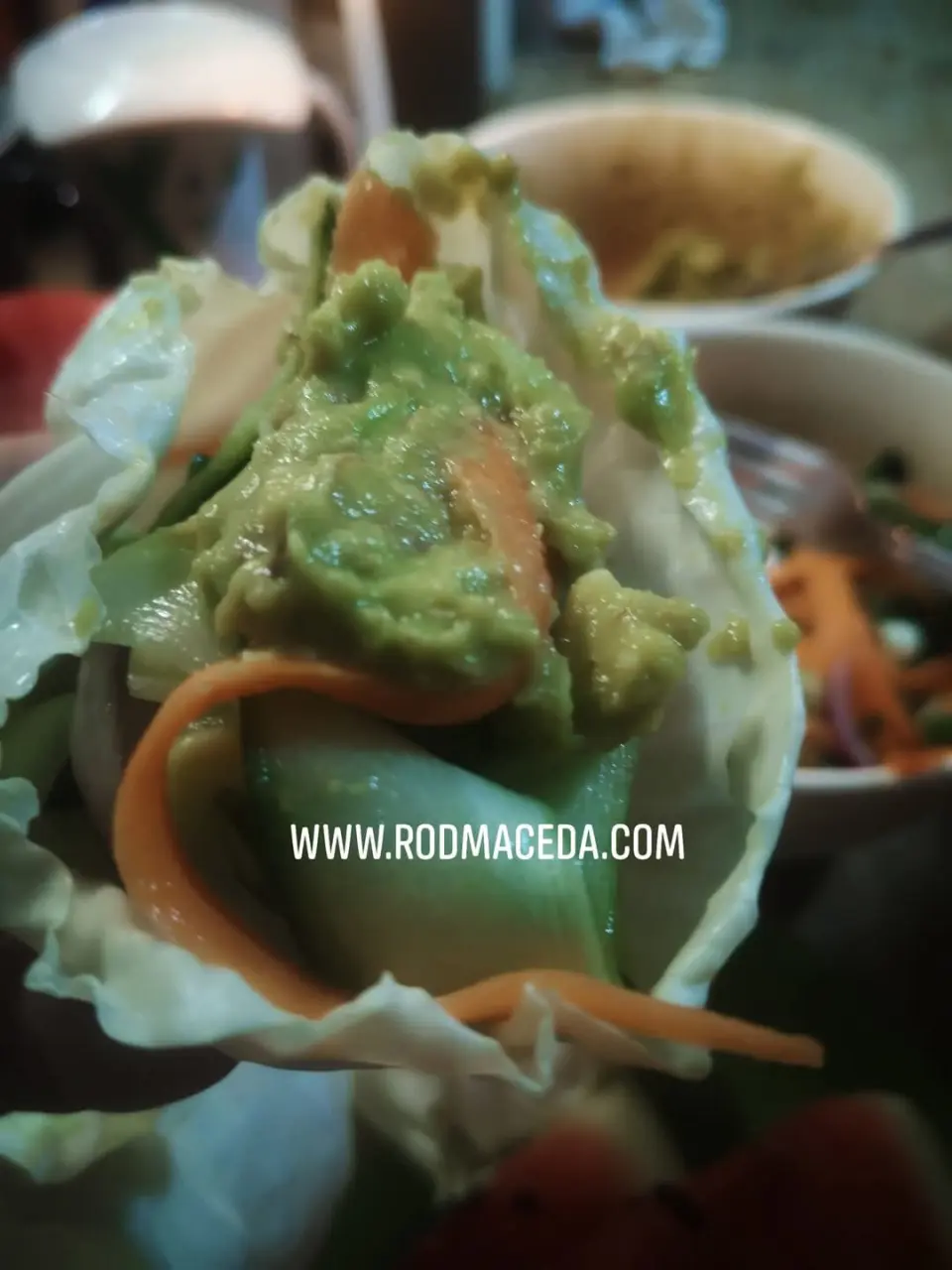 Rod Maceda raw vegan food 06.webp