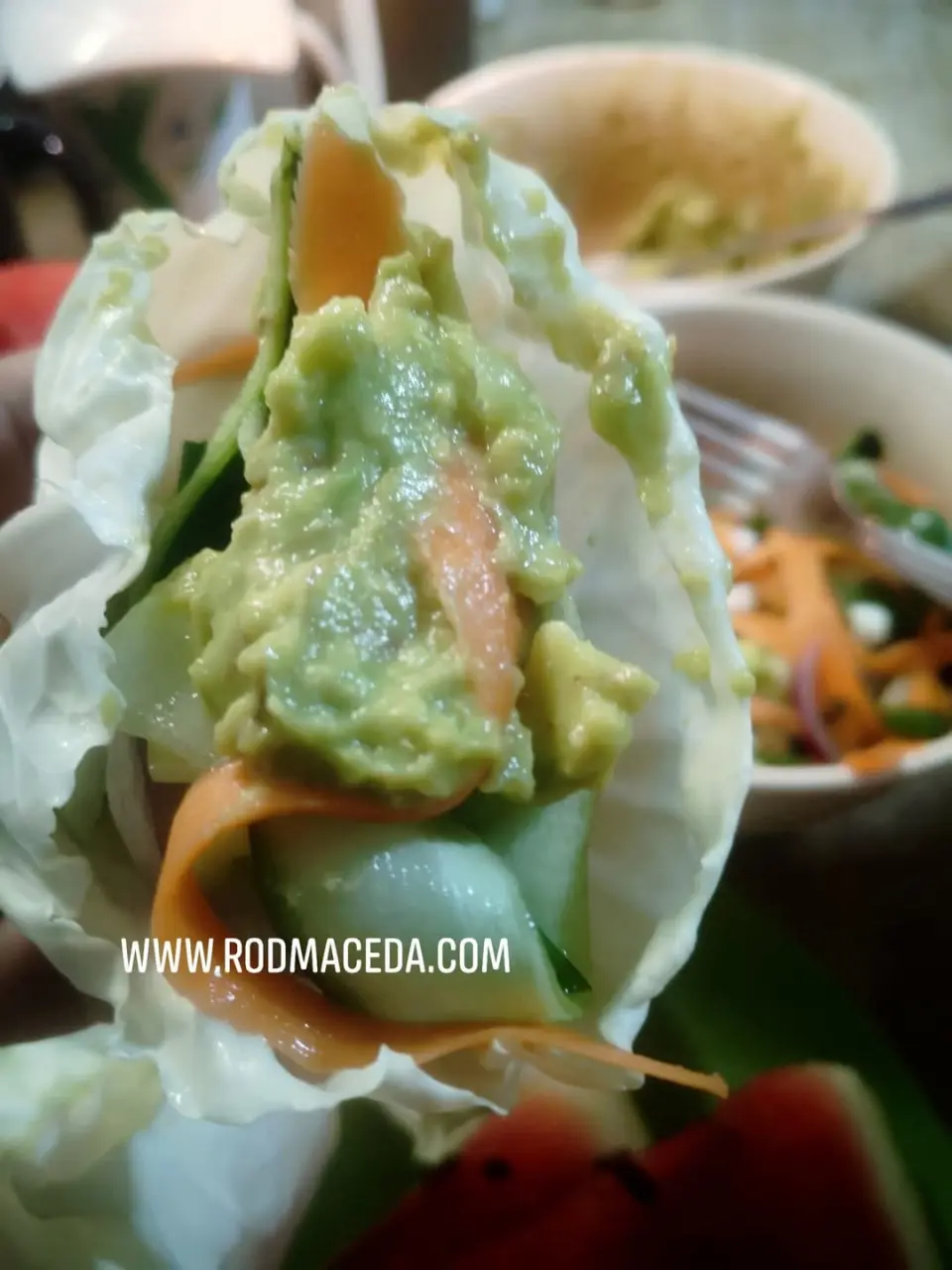 Rod Maceda raw vegan food 07.webp