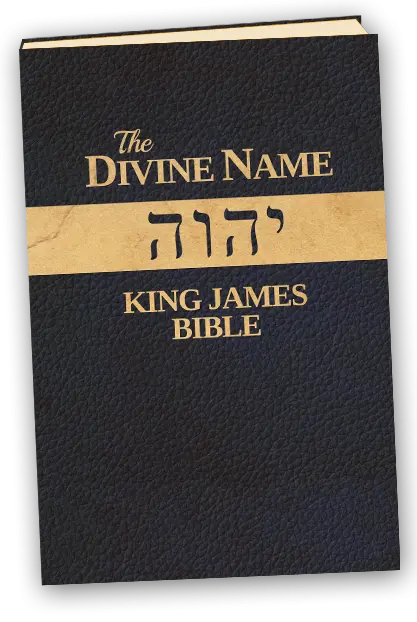 dnkjv.webp