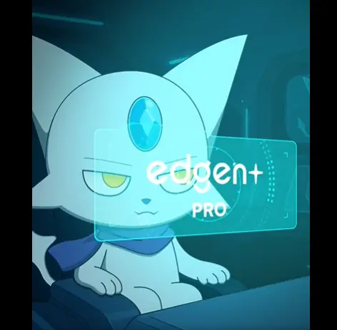 15.webp