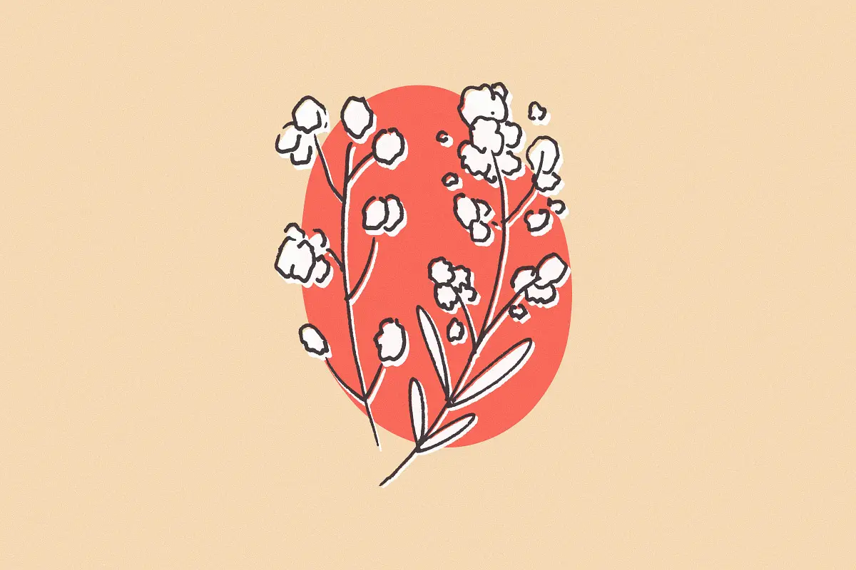 6.webp