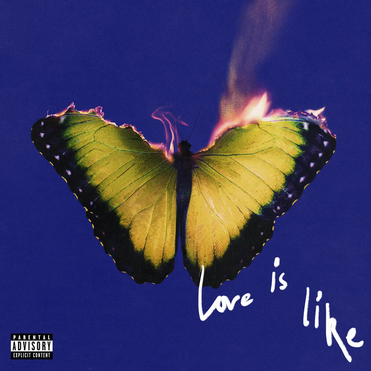 Maroon 5 - Love Is Like 2025 (Deluxe)(Explicit) [Flac 24Bits - 48kHz]