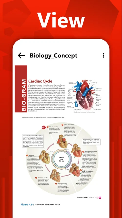 pdf-maker-image-to-pdf-5-500x888.webp