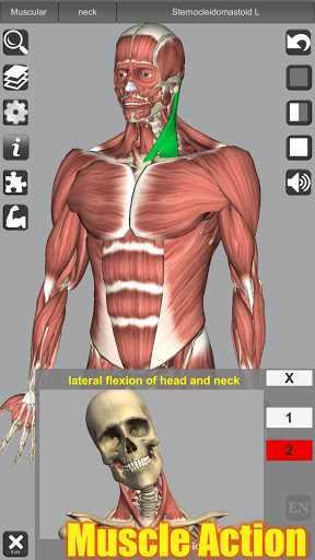uqVRM-AhKU0FR59bA5oTdDwCZgTmEAOYbSN0iAr1ZrJ6tFVyEQZN1jfLOS7kzlTX-34.jpeg