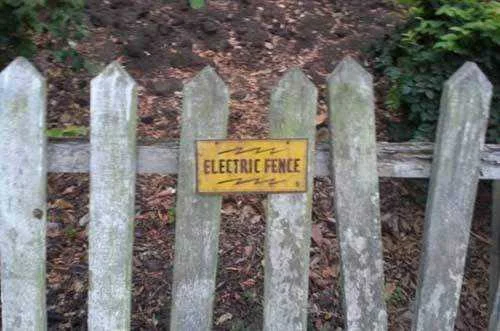 funny-electric-fence.webp