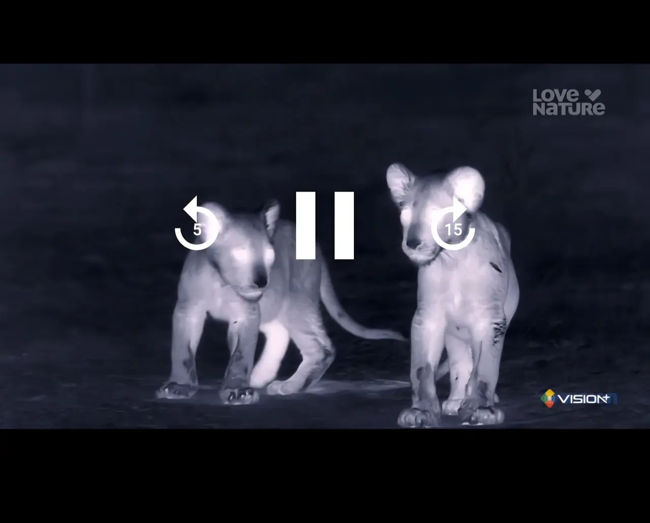 Screenshot_20250907_162719_Network Stream (Video) Player.webp