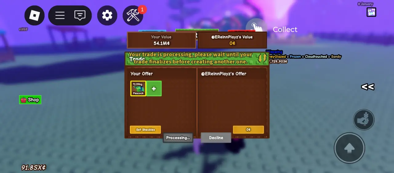 Screenshot_20250910-131313.webp