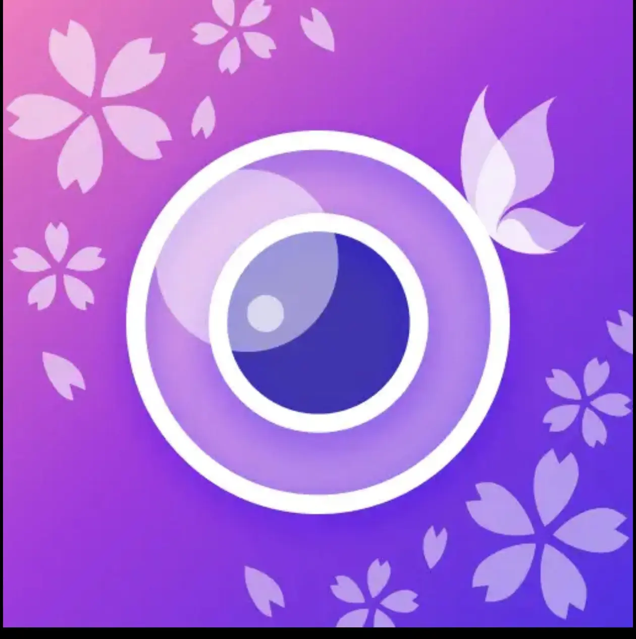 1000002551.webp