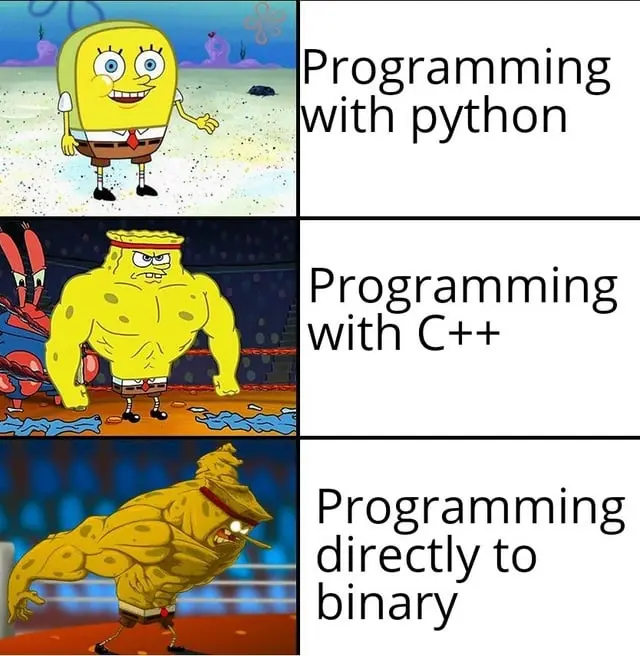 Programming Hardness.webp