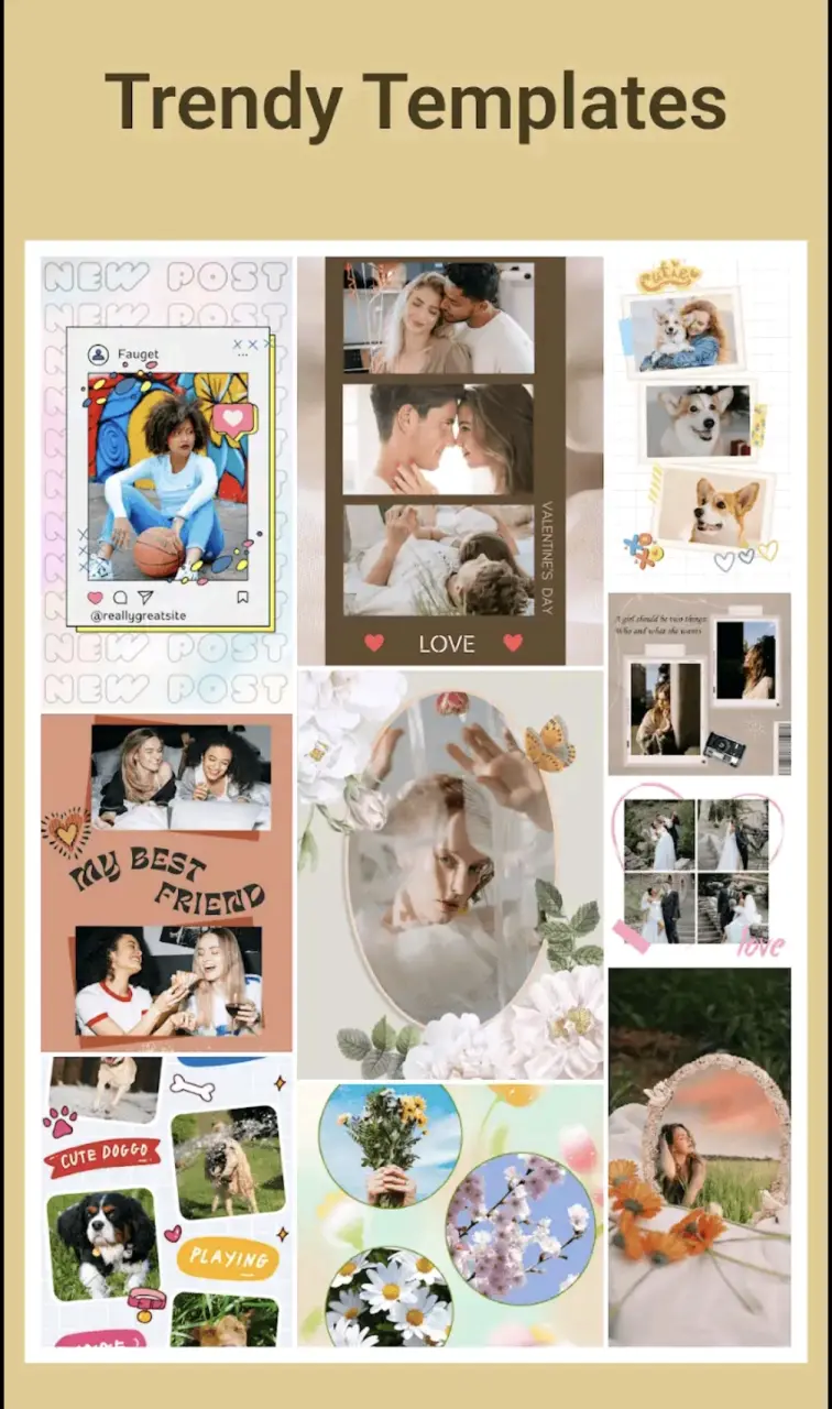 1000002796.webp