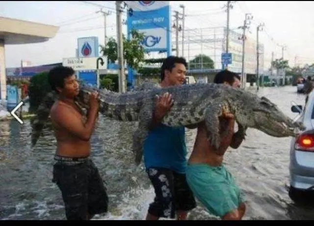 baha-ka-lang-filipino-ako-10.webp